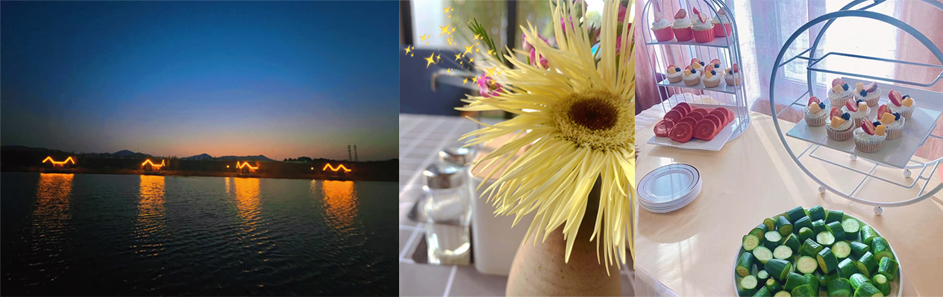 1646789247883638.jpg sd.jpg